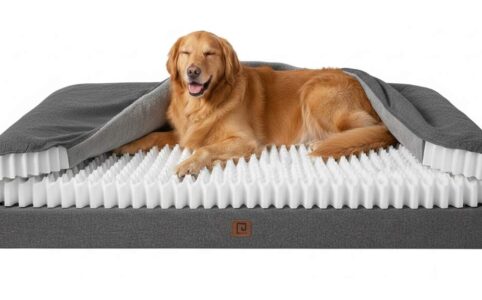 Supportive egg-crate foam interior of EHEYCIGA pet couch bed relieving joint pressure in big pups